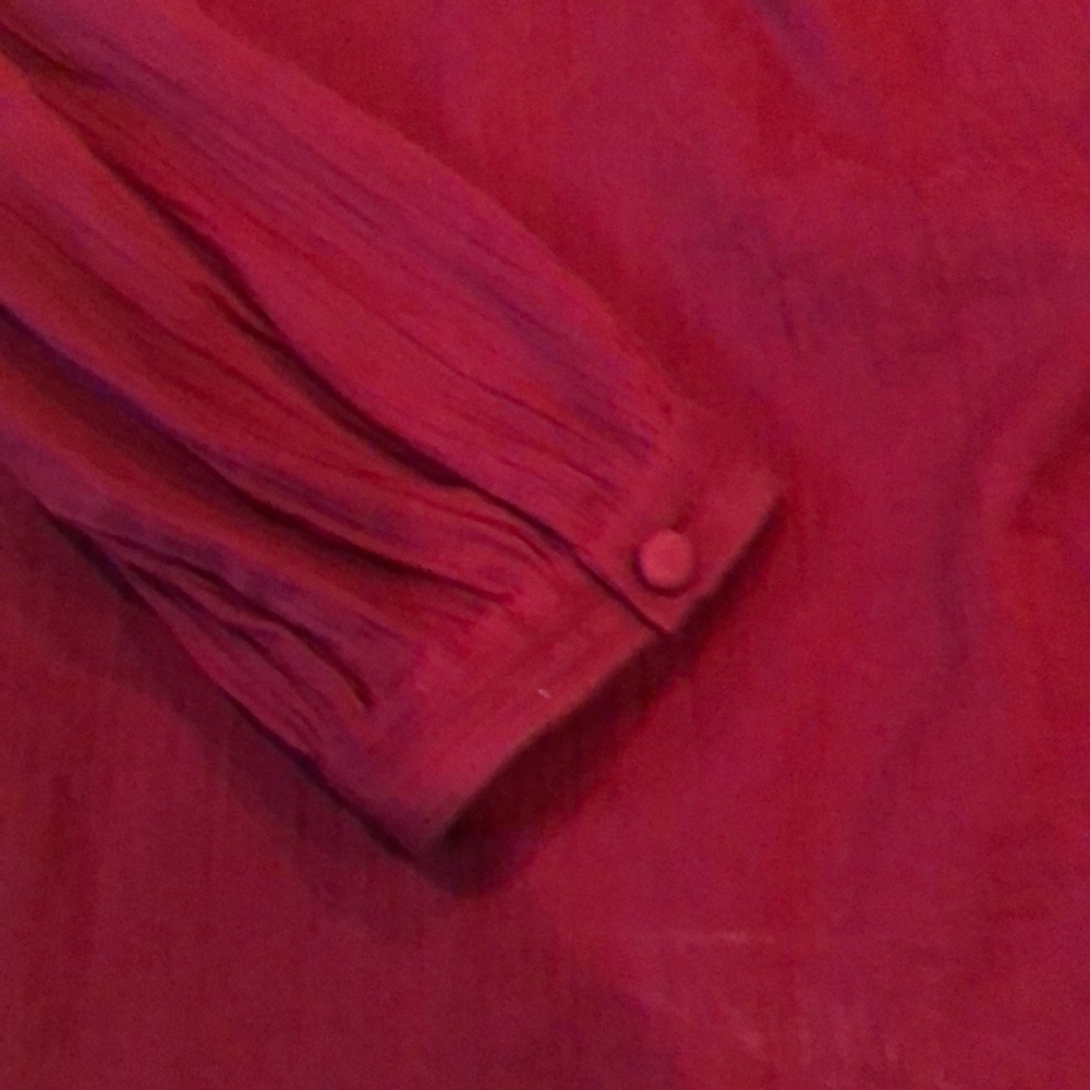 Ruby Red Blouse - image 4